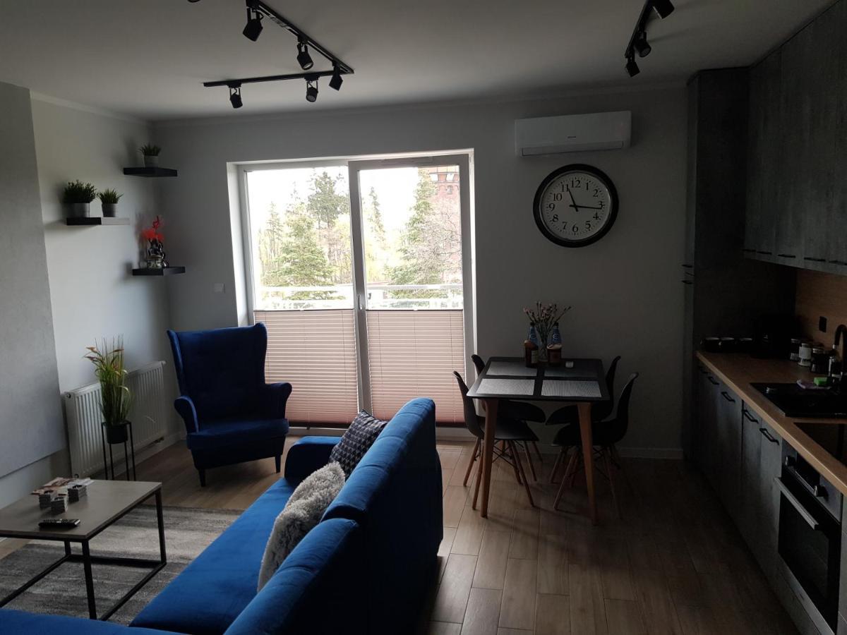 Apartamenty Limanowskiego 巴尔托希采 外观 照片